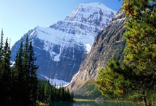 游戏试玩模拟器-日本网球队险胜世界网球队，费德勒打破历史纪录