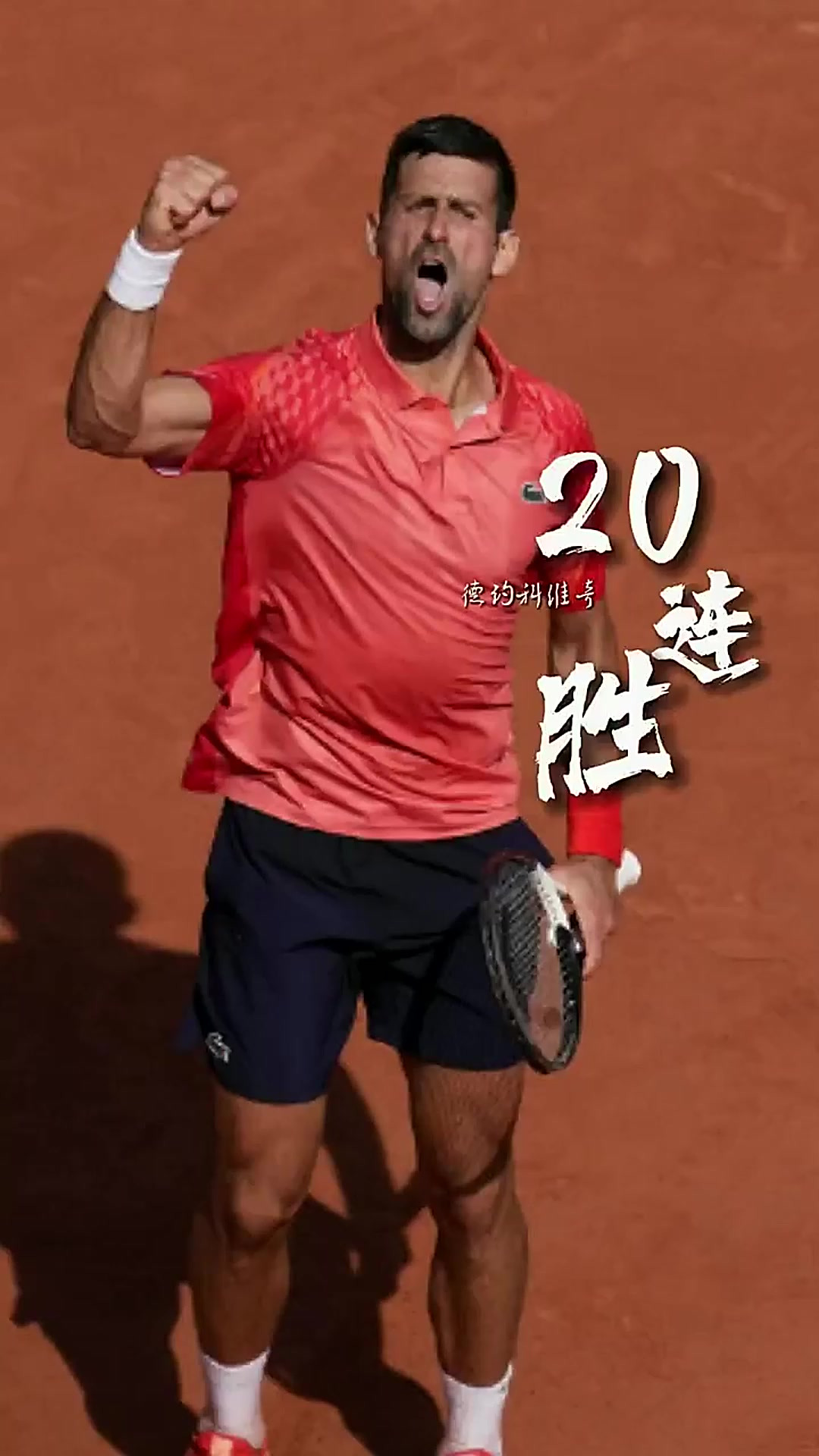 法国网球队险胜西班牙网球队，德约科维奇完成帽子戏法的简单介绍