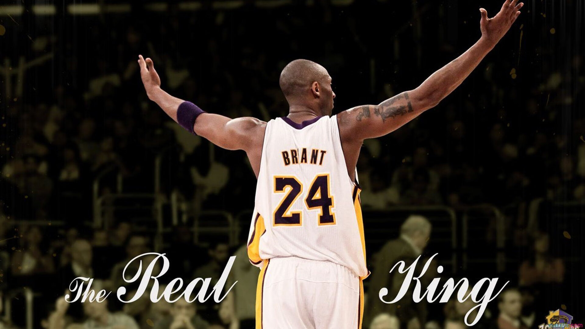 太阳战术压制浙江队，霍勒迪让比赛提前失去悬念